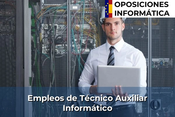 Empleos tras las Oposiciones Técnico Auxiliar Informático (TAI)