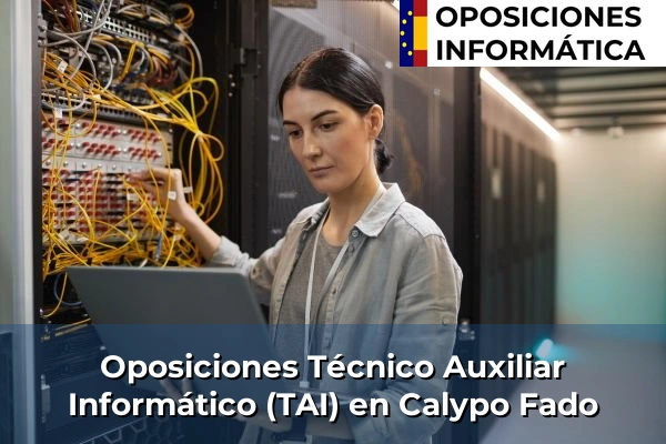 Oposiciones Técnico Auxiliar Informático (TAI) en Cuenca 37 Oposiciones Técnico Auxiliar Informático (TAI) en Calypo Fado