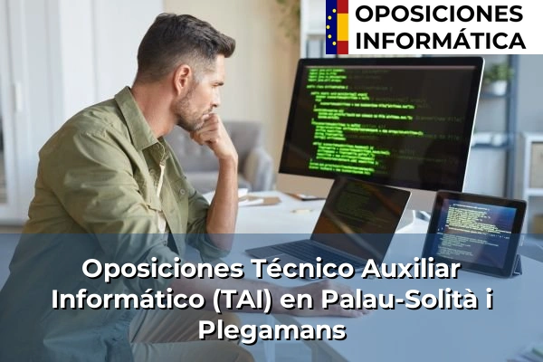 Oposiciones Técnico Auxiliar Informático (TAI) en Botarell 149 Oposiciones Técnico Auxiliar Informático (TAI) en Palau-Solità i Plegamans