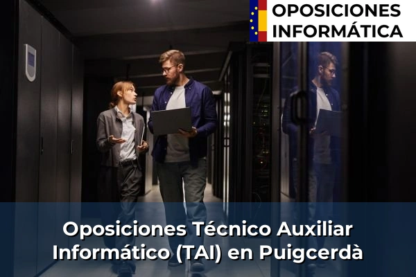 Oposiciones Técnico Auxiliar Informático (TAI) en Botarell 160 Oposiciones Técnico Auxiliar Informático (TAI) en Puigcerdà