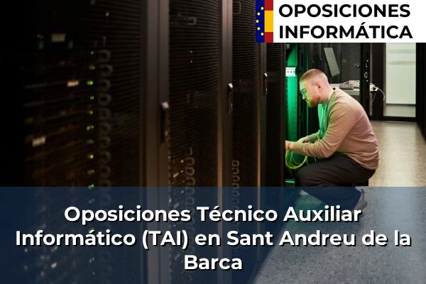 Oposiciones Técnico Auxiliar Informático (TAI) en Botarell 173 Oposiciones Técnico Auxiliar Informático (TAI) en Sant Andreu de la Barca